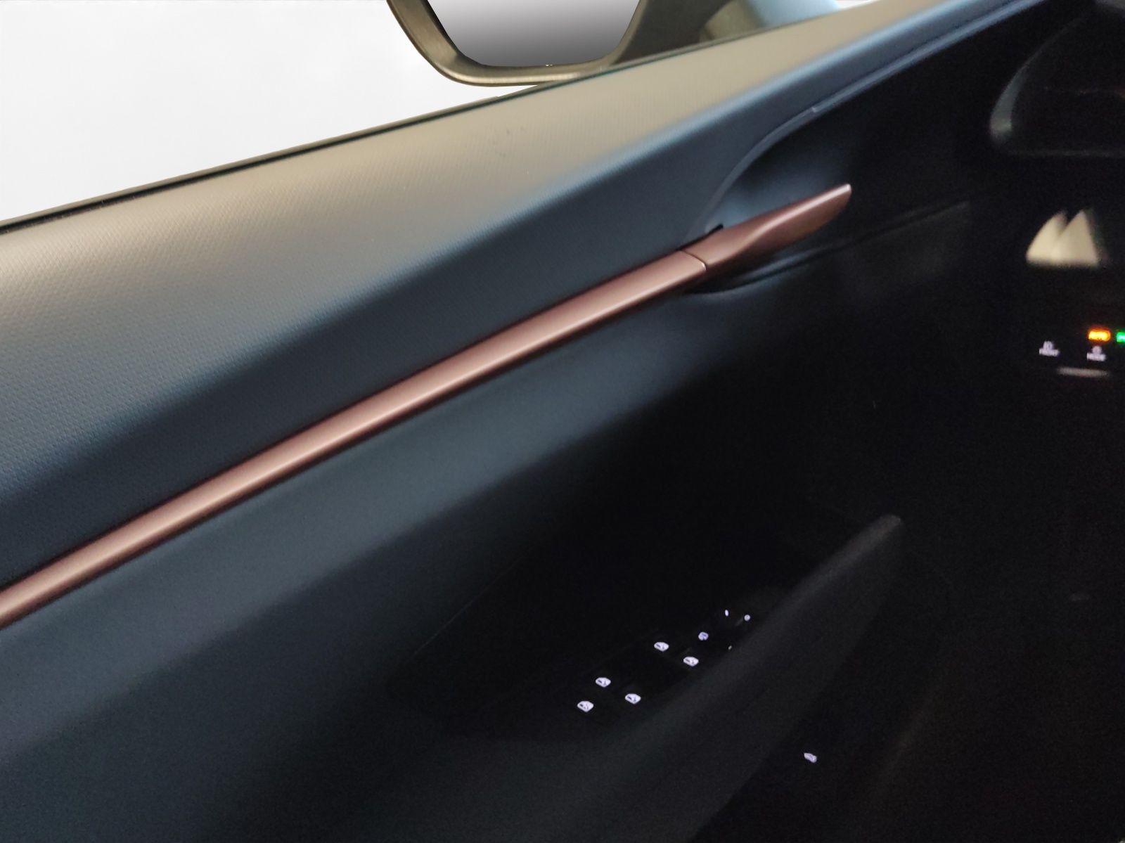 Cupra Terramar - Bild 18