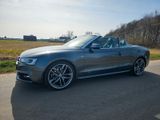 Audi A5 3.0 TDI  S-Line Quattro Cabrio - Audi A5: Cabrio, 3.0
