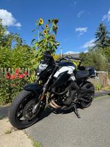 CFMOTO 650NK - CFMOTO 650NK