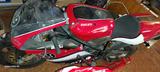 Ducati Corse 916/955 1994-2004 Superbike Collection  - DUCATI CORSE