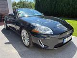 Jaguar XK 5.0 V8 Cabriolet - - Jaguar: 5.0