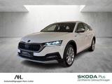 Skoda Octavia Combi 2.0 TDI Scout 4x4 DSG LED Navi ACC - Skoda Octavia: Allradantrieb, Scout
