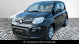 Fiat Panda Pandina Hybrid|PDC*verschiedene Farben!*