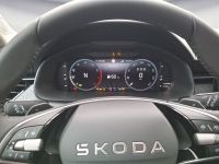 Skoda Kamiq - Vorschau Bild 10