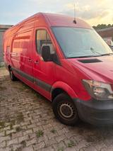 Mercedes-Benz Mercedes Benz Sprinter Maxi hoch-lang - Mercedes-Benz Sprinter: Kleinbus, Merc