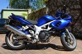 Suzuki SV 650 S - Schicke Suzi sucht neues Zuhause - SUZUKI SV 650 N