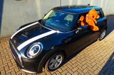 MINI Cooper Essential Trim 1.Hand Automatik