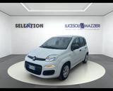 Fiat FIAT Panda 3ª serie - Panda 1.0 FireFly S&S Hybr - Fiat Panda: Fire