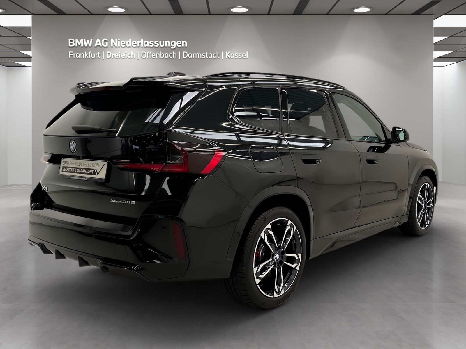 BMW X1 xDrive30e M Sport AHK Driv.Assist.Prof LED foto 4
