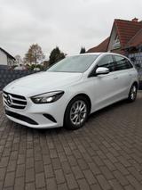 Mercedes-Benz B 220 4matic 13.000KM Standheizung LED Automatik