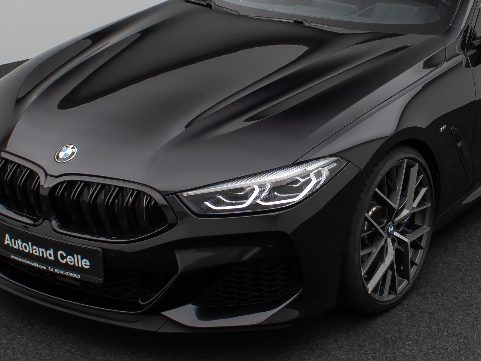 Fahrzeugabbildung BMW M850i xD Kamera HUD DAB H/K ACC SoftCl DisplKey
