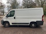 Fiat Ducato Transporter - Fiat: Transporter