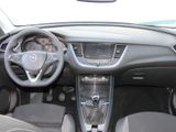 Opel Grandland X Edition 1.2 Navi AGR Bi-LED Sitzheiz - Opel: Ag