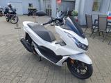 Honda PCX 125 1. Hand TÜV & Inspektion NEU! - HONDA PCX