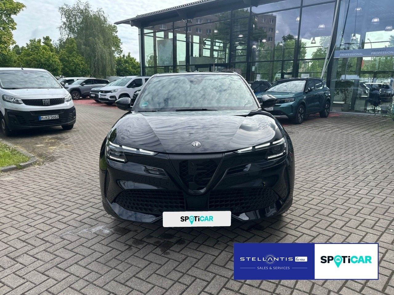 Alfa Romeo Junior - Bild 2