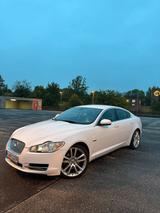 Jaguar XF 3.0tdi - gebrauchte Jaguar XF aus dem Jahr 2011