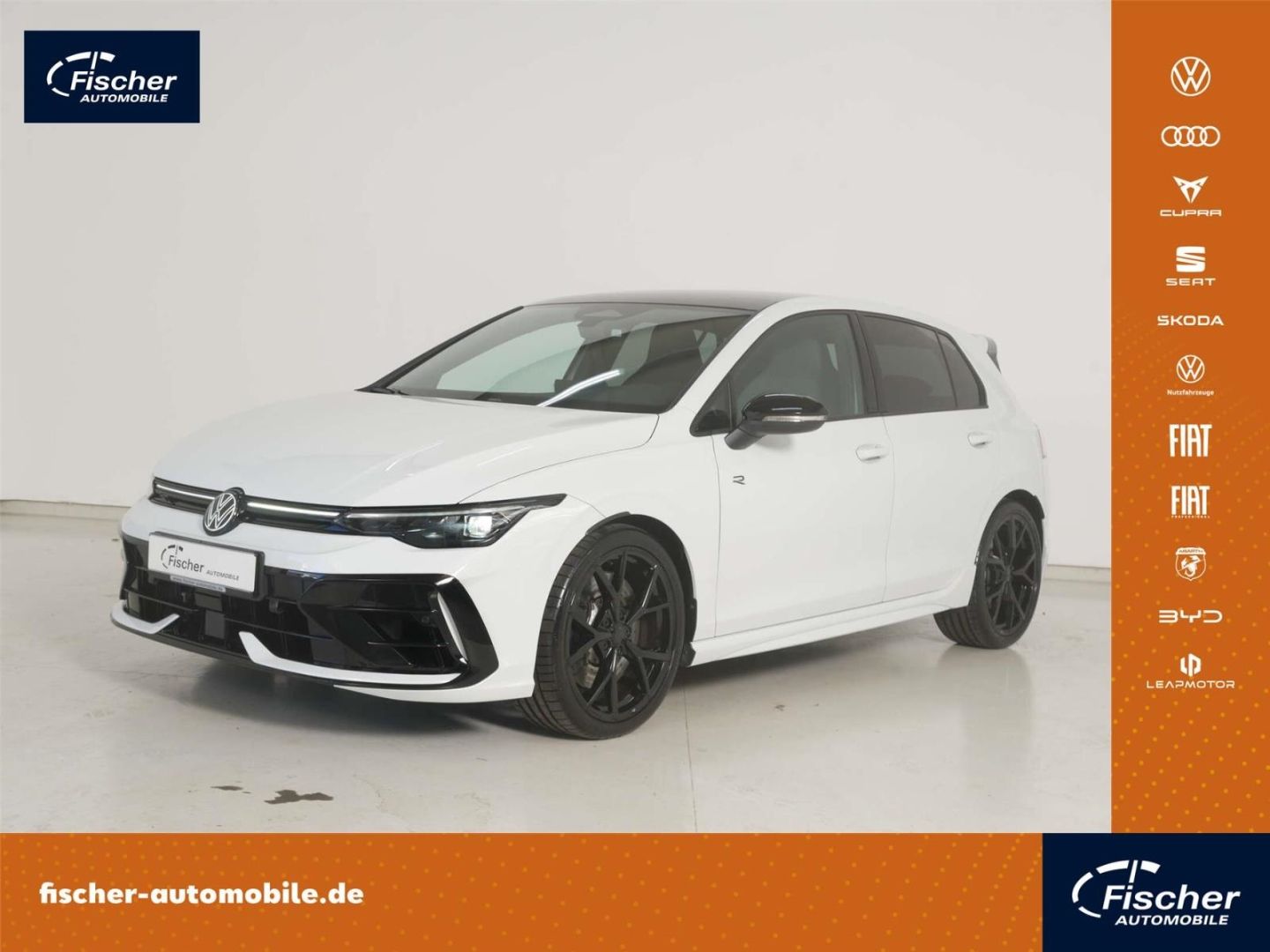 Volkswagen Golf R 2.0 TSI 4Mot. Black Edition DSG P-Dach foto 1