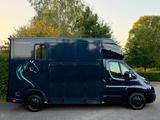Peugeot Boxer Pferdetransporter 2015 Horsetruck - gebrauchte Peugeot Boxer aus dem Jahr 2015