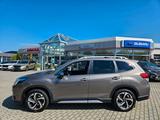 Subaru Forester 2,0 Platinum - Subaru aus 2022