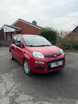 Fiat Panda 1.2 Benziner - Fiat Panda in Kiel