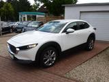 Mazda CX-30 e-Skyaktiv-D Hybrid 150 Selection LED ACC - Mazda Gebrauchtwagen Berlin