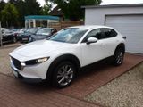 Mazda CX-30 e-Skyaktiv-D Hybrid 150 Selection LED ACC - Mazda aus 2020