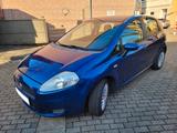 Fiat Punto 1.2 8V Active Active - Fiat Punto in Dortmund