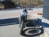 Triumph Scrambler 900*Sofort verfügbar*64PS - TRIUMPH SCRAMBLER