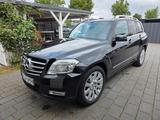 Mercedes-Benz GLK 250 CDI 4MATIC BlueEFFICIENCY - - Mercedes-Benz GLK 250 aus 2011