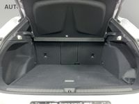 Cupra Terramar - Vorschau Bild 5