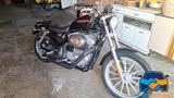 Harley-Davidson HARLEY-DAVIDSON 883C Sportster Custom XL custom  - Angebote