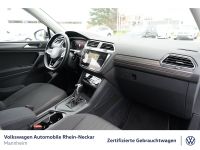 Volkswagen Tiguan Allspace - Vorschau Bild 13