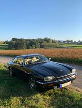 Jaguar XJS 12V - Jaguar XJS