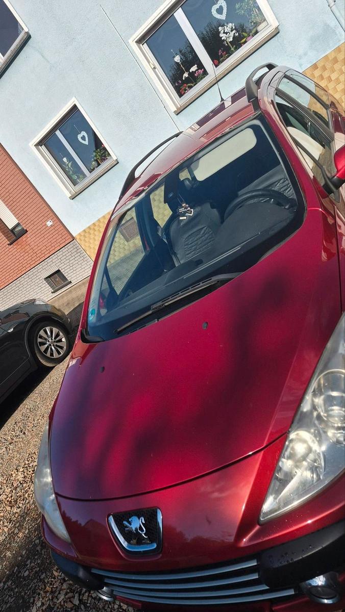 Peugeot 307 2006 — вигляд ззаду