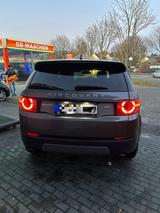 Andere Discovery Sport - Andere in Wuppertal