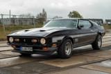 Ford Mustang Mach 1 429 Cobra Jet Fastback - Ford Mustang in Freiburg