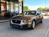 Jaguar XE Pure/Leder/Xenon/20T/Navi/2,0 Ltr./ - Jaguar: Limousine
