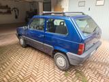 Fiat Panda 1100 i.e. cat Young - Fiat Panda: Young