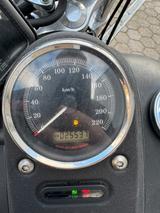 Harley-Davidson Street Bob - Angebote