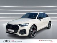 Audi SQ5 - Vorschau Bild 1