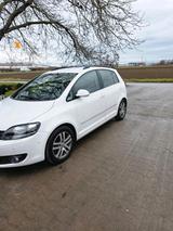 Volkswagen Golf plus - Volkswagen Golf Plus in Ludwigshafen