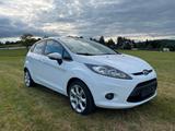 Ford Fiesta 1,25 60kW Viva Viva - Ford Fiesta Viva mit Benzin-Antrieb