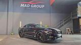 Ford FORD Mustang 3.7 V6 SHELBY COBRA!! SCARICHI SPOR - Ford Mustang mit 5 Türen