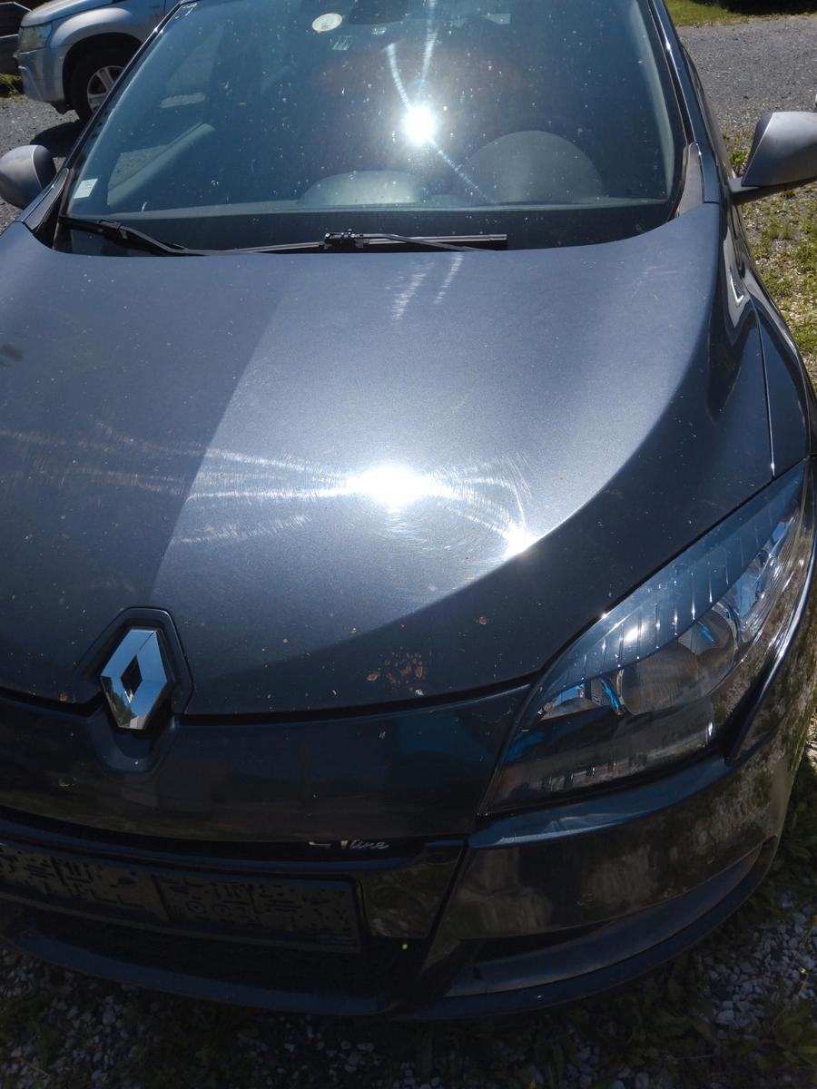 Renault Megane 2010 — вигляд ззаду