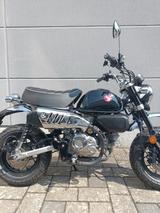 Honda Z 125 MONKEY **JUNGE GEBRAUCHTE** - HONDA MONKEY