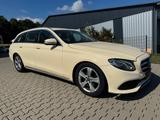 Mercedes-Benz Mercedes E220 d T Taxi Avantgard Motor  167800km - Mercedes-Benz E 220: Beige