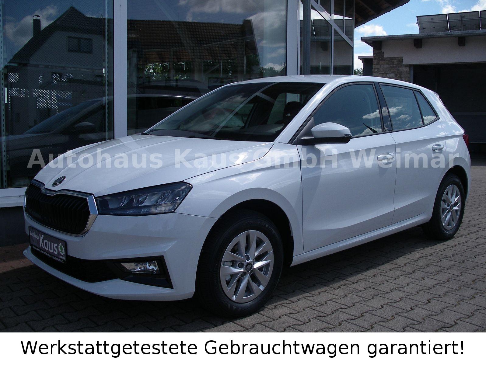 Skoda Fabia Selection 5J/100 TKM Garantie