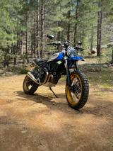 Ducati Scrambler Desert Sled // 1. Hand // Top Zustand - DUCATI SCRAMBLER DESERT SLED