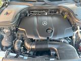 Mercedes-Benz GLC 250 d 4MATIC AMG Junge Sterne - Mercedes-Benz: Sterne