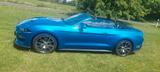 Ford Mustang 2.3 EcoBoost - viele Extras, wenig Km - Ford Mustang Gebrauchtwagen in Braunschweig